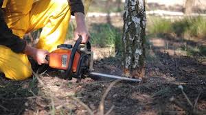 Best Utility Line Clearance  in San Juan Pistrano, CA